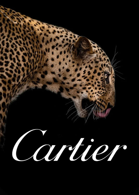 CARTIER AFFICHE VINTAGE ADVERTISING POSTER HQ