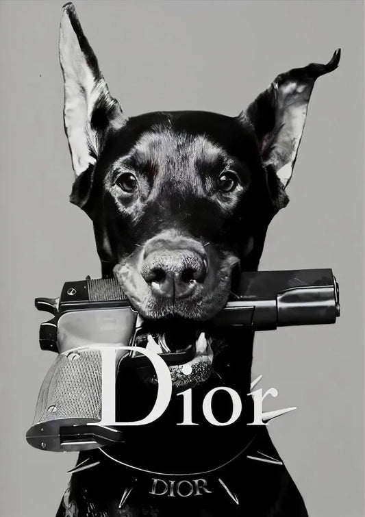 DIOR AFFICHE VINTAGE ADVERTISING POSTER HQ